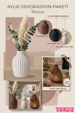 Trintora Living Box: Aylık Dekorasyon Serüveni